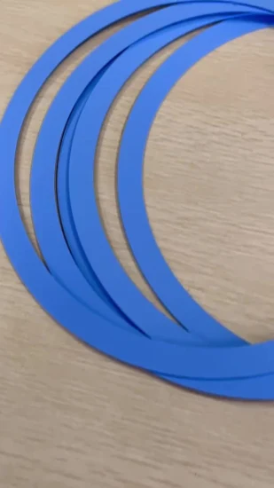 Expanded Bronze Filled PTFE Plastic Sealing Material Ring Gasket