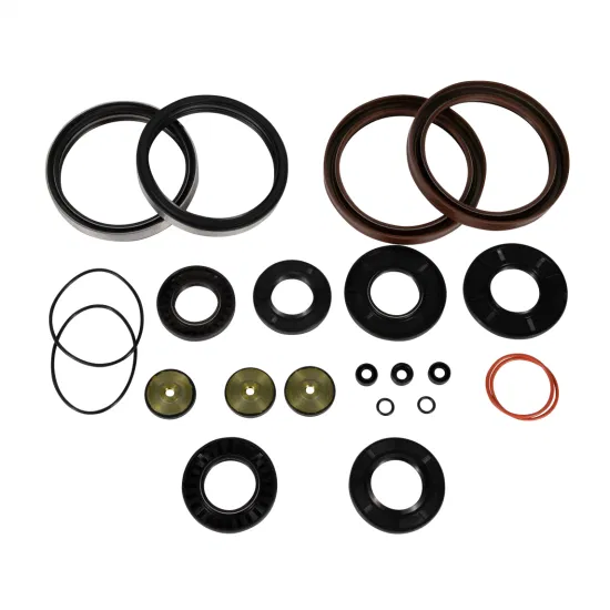 Stainless Steel 304/316 Bonded Valve Stem Custom Molded Rubber Products Gasket Oil Seals for Hydraulic Mechanical Pump Parts Sealing